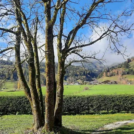 Haus Kreuzboden 度假居 Hundsdorf (Rauris)