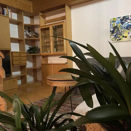 Haus Kreuzboden 度假居 *