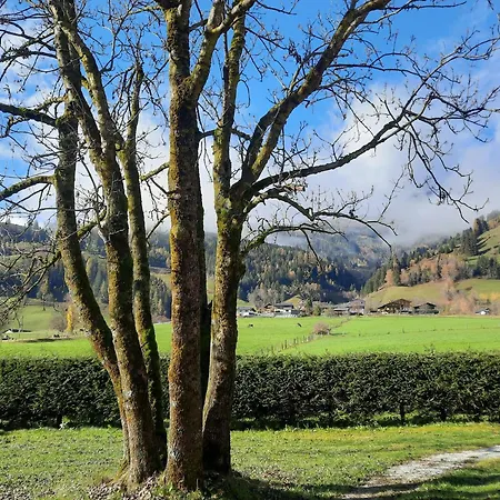 Haus Kreuzboden 度假居