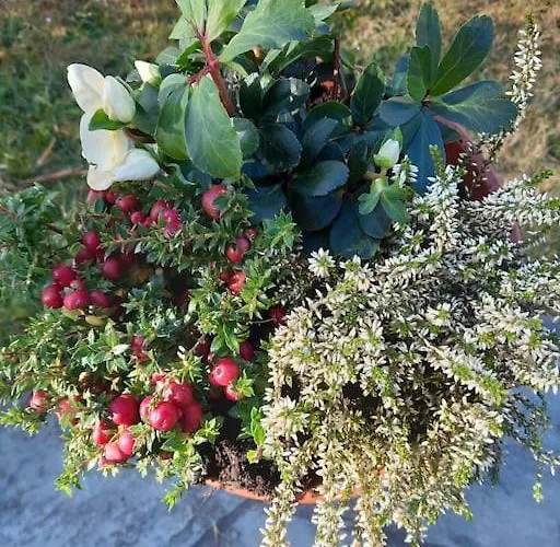 Haus Kreuzboden * Hundsdorf (Rauris)